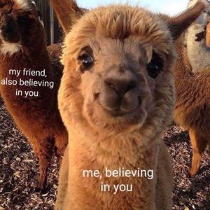 Meet your Posher, Katie